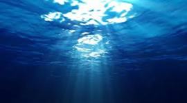 Timeline: Birthday Timeline