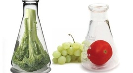 Timeline: Ciencia y tecnología alimentaria