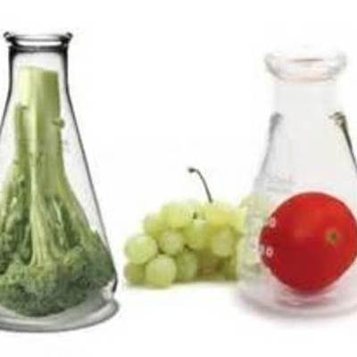 Timeline: Quimica de alimentos