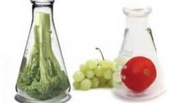 Timeline: Quimica de alimentos