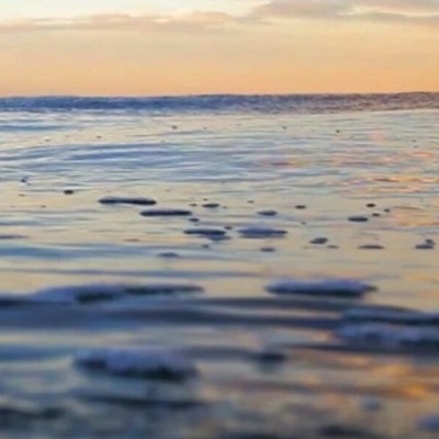 Timeline: Linea del tiempo Modelos