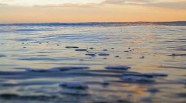 Timeline: Linea del tiempo Modelos