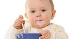 Timeline: toddler timeline by jennifer lara & faith walker