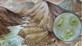 Timeline: ERAS DE LA TIERRA