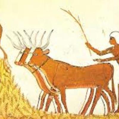 Timeline: HISTORIA DE LA HORTICULTURA-