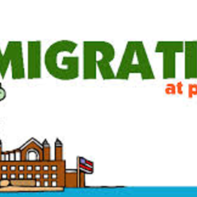 Timeline: Immigration Cubing Red Group