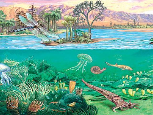 Las Eras Geológicas timeline Timetoast timelines
