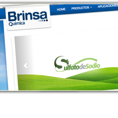 Timeline: Brinsa