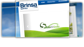 Timeline: Brinsa