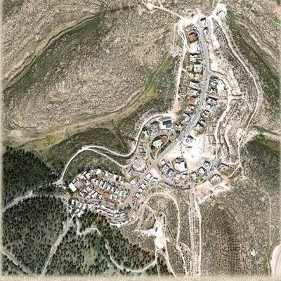 Timeline: סנסנה