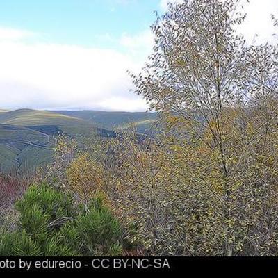 Timeline: 20 feitos no o incio nos ultimos 10 anos