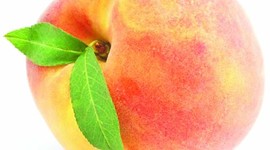 Timeline: Georgia History Timeline Project