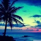 Beautiful beach backgrounds palm trees wallpaper 7ual.com  1
