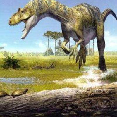 Timeline: Eras Geológicas