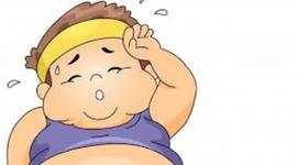 Timeline: 5to Primaria