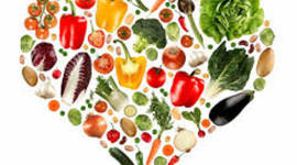 Timeline: Curso de alimentación sansa