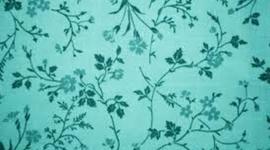 Timeline: Important Events