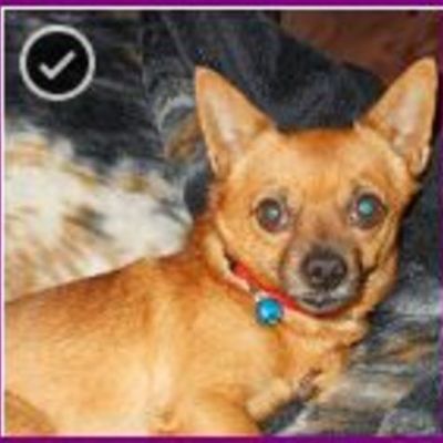 Timeline: science and technology