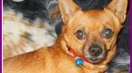 Timeline: science and technology