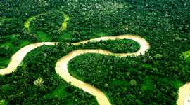 Timeline: Explotación del Yasuní a través de los años