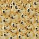 Doge background