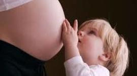 Timeline: Semana a semana de gestación