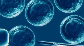 Timeline: Linea del tiempo de la celula