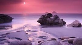 Timeline: proceso con alfabetizacion digital