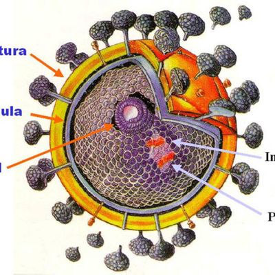 Timeline: Cronología VIH-SIDA