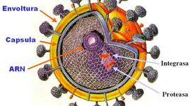 Timeline: Cronología VIH-SIDA