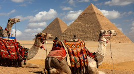 Timeline: The Cold War Legacies - Egypt