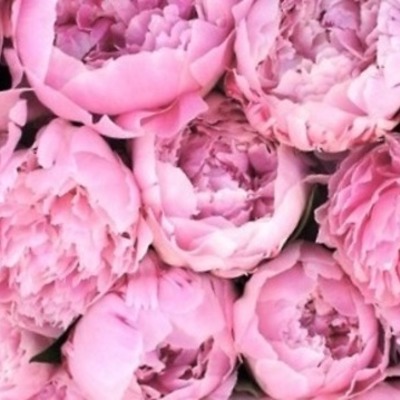 Timeline: My Four Years