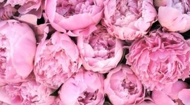 Timeline: My Four Years