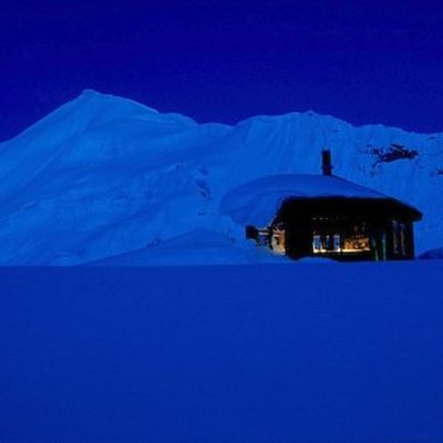 Timeline: Dimond Willow by Brandon Brooks