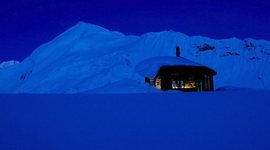 Timeline: Dimond Willow by Brandon Brooks