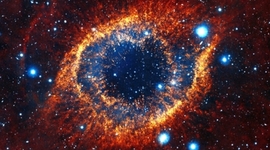 Timeline: Chinese immigration in New Zealand