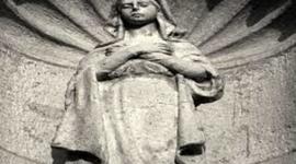 Timeline: Francisca Alvarez