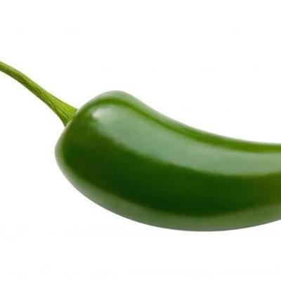 Timeline: My Life By Design