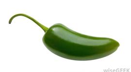 Timeline: My Life By Design