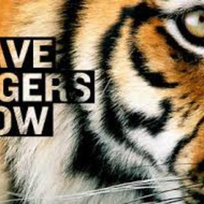 Timeline: Save Tigers Now!