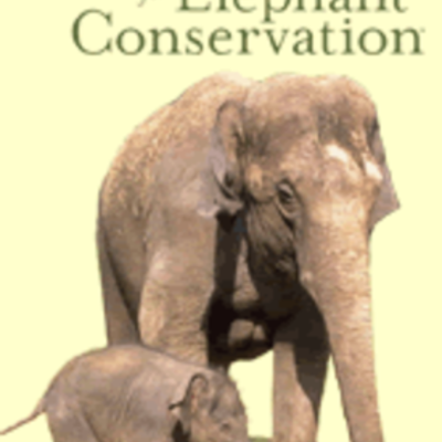 Timeline: Elephant Conservation
