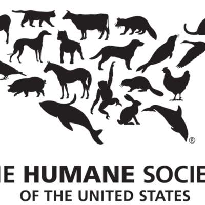 Timeline: Humane Society