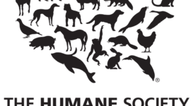 Timeline: Humane Society