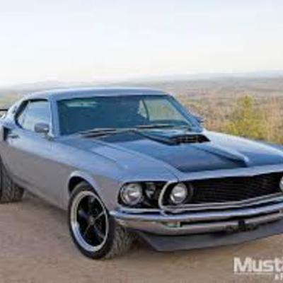 Timeline: Mustangs For Life