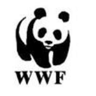 Timeline: WWF timeline