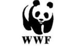 Timeline: WWF timeline