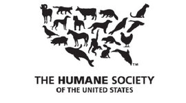 Timeline: The Humane Society