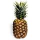 Pineapplefacts20n 1 web