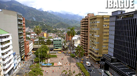 Timeline: ibague