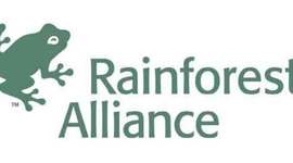 Timeline: Rainforest Alliance